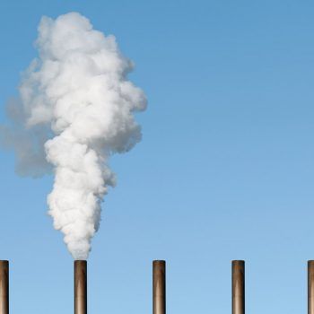 Statement by organisation leaders on the IPCC report and the urgency of climate action